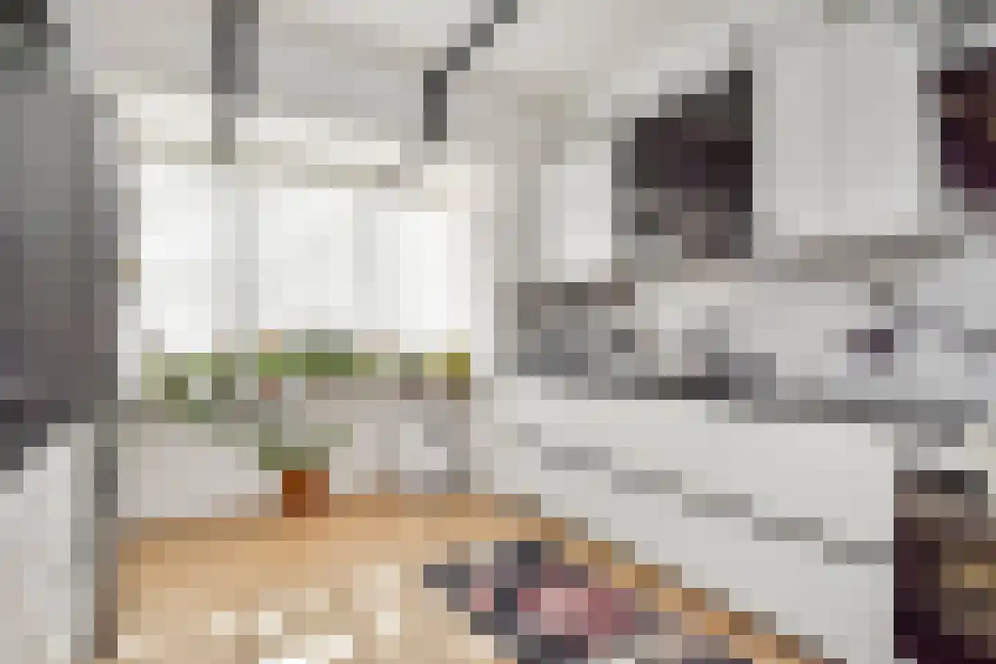 Elspeetstraat 17 Den Haag thumbnail 12