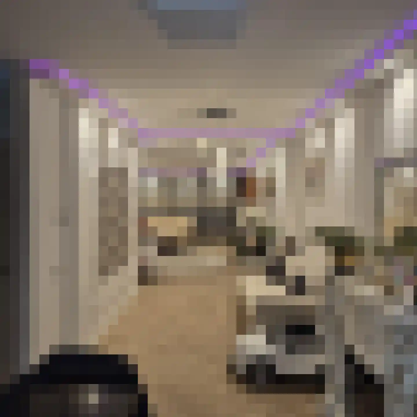 Elspeetstraat 17 Den Haag thumbnail 15