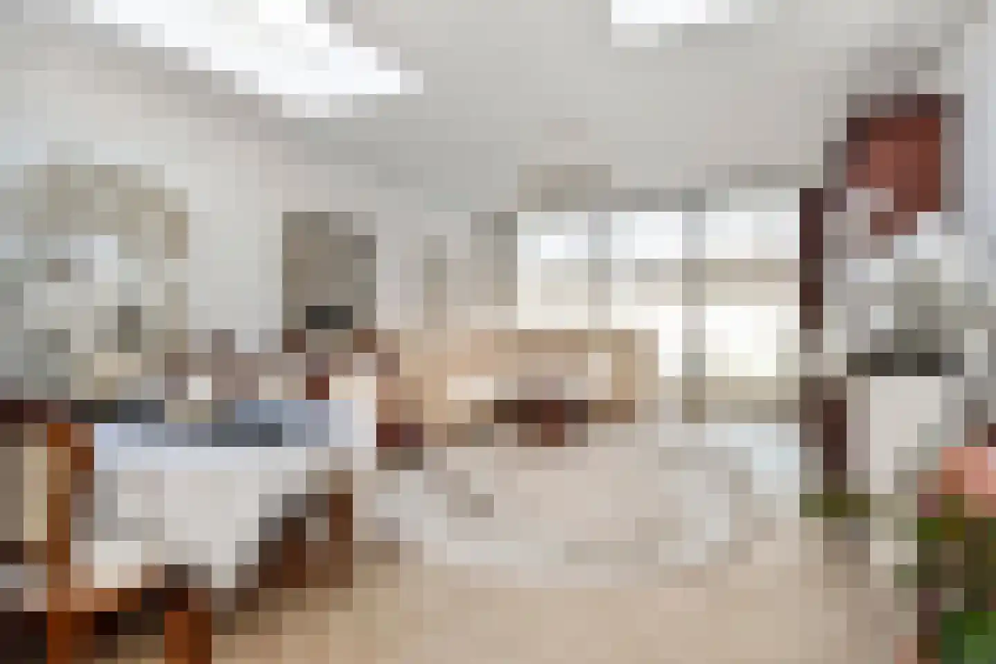 Elspeetstraat 17 Den Haag thumbnail 6