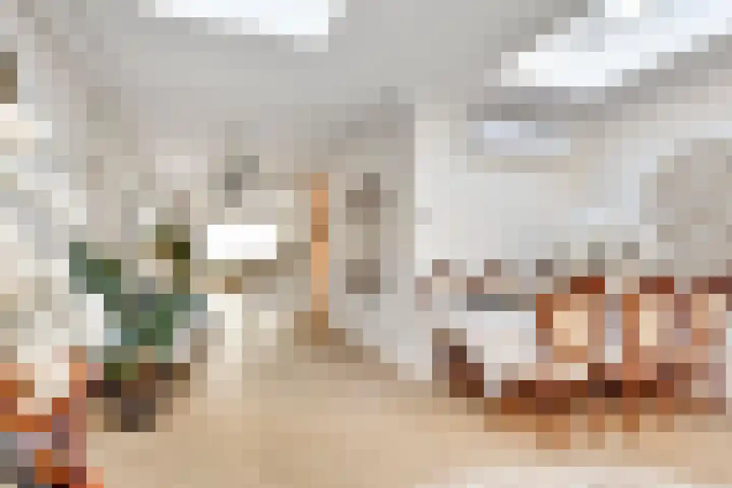 Elspeetstraat 17 Den Haag thumbnail 9