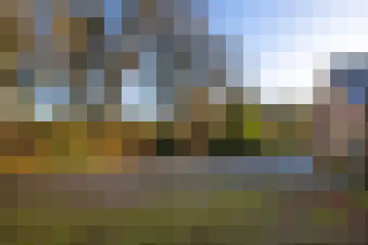 Elspeterbosweg 106 Vierhouten thumbnail 11