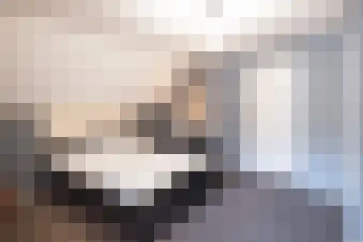 Elspeterbosweg 106 Vierhouten thumbnail 26