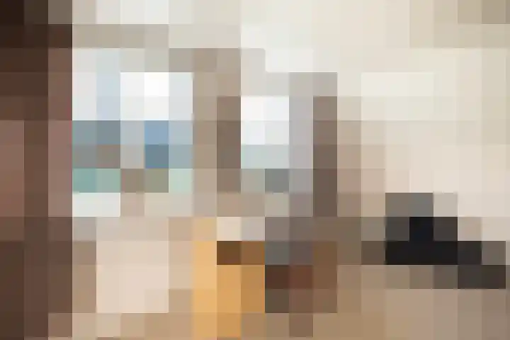 Elspeterbosweg 106 Vierhouten thumbnail 28