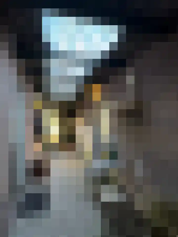 Elspeterbosweg 106 Vierhouten thumbnail 30