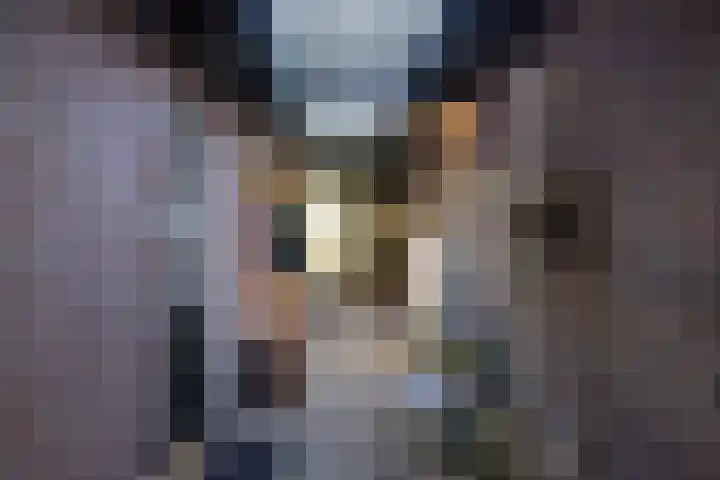 Elspeterbosweg 106 Vierhouten thumbnail 31