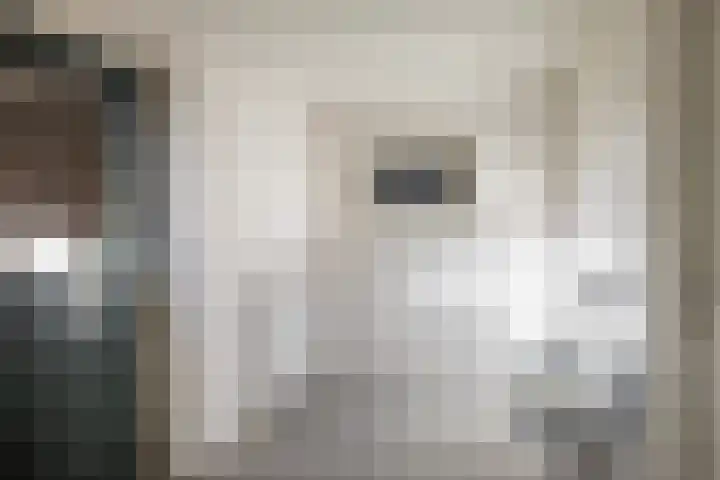 Elspeterbosweg 106 Vierhouten thumbnail 36