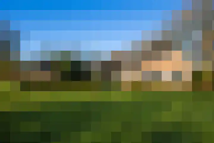 Elspeterbosweg 106 Vierhouten thumbnail 4