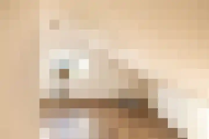 Elspeterbosweg 106 Vierhouten thumbnail 40