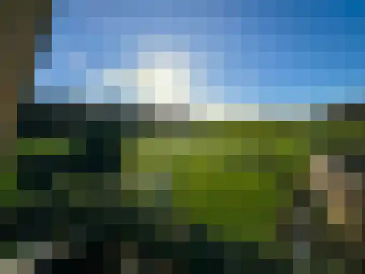 Elspeterbosweg 106 Vierhouten thumbnail 43