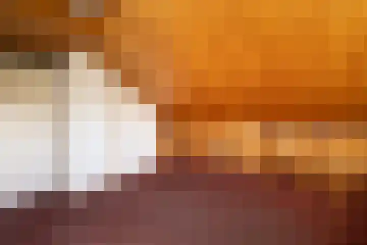 Elspeterbosweg 106 Vierhouten thumbnail 46