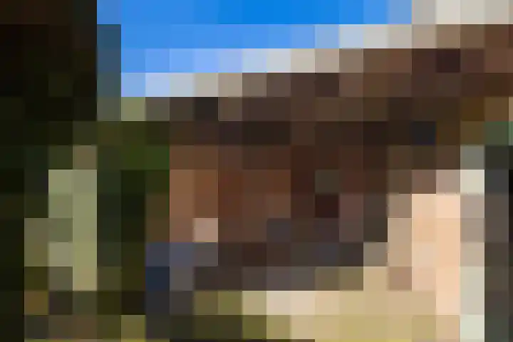 Elspeterbosweg 106 Vierhouten thumbnail 47