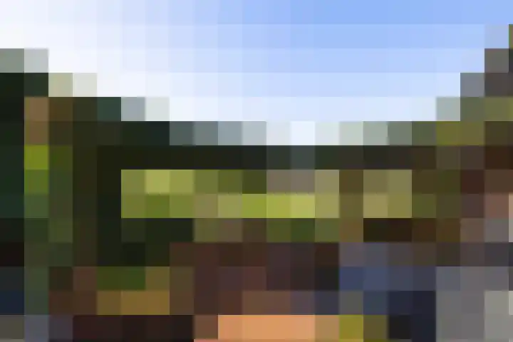 Elspeterbosweg 106 Vierhouten thumbnail 48