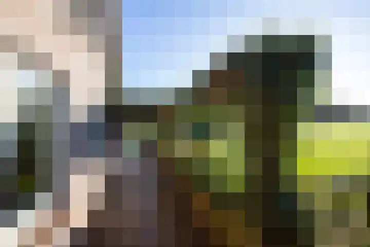 Elspeterbosweg 106 Vierhouten thumbnail 49
