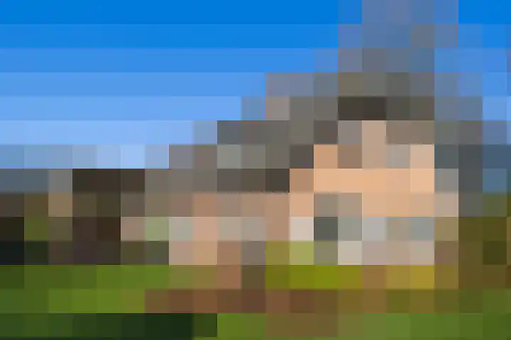 Elspeterbosweg 106 Vierhouten thumbnail 5