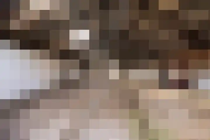 Elspeterbosweg 106 Vierhouten thumbnail 52