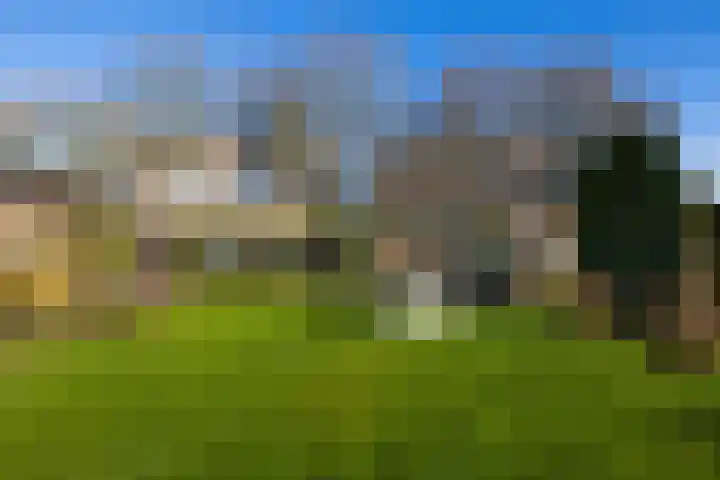 Elspeterbosweg 106 Vierhouten thumbnail 54