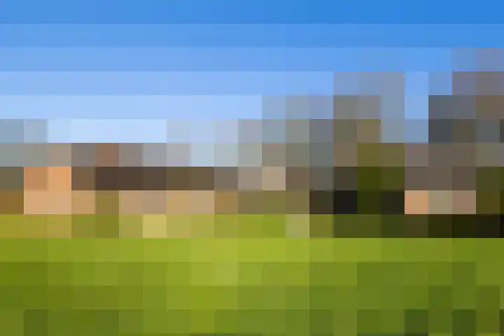 Elspeterbosweg 106 Vierhouten thumbnail 55