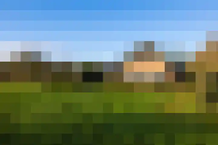 Elspeterbosweg 106 Vierhouten thumbnail 56