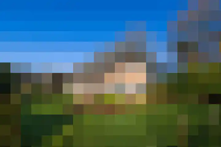 Elspeterbosweg 106 Vierhouten thumbnail 57
