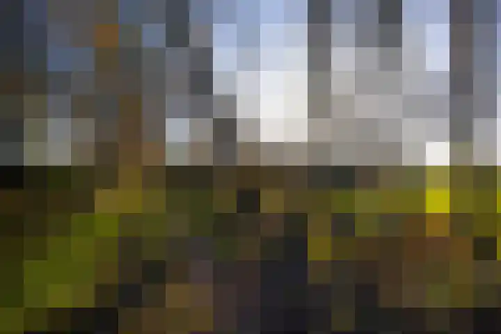 Elspeterbosweg 106 Vierhouten thumbnail 59