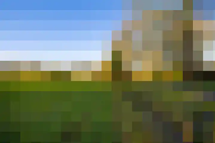 Elspeterbosweg 106 Vierhouten thumbnail 6
