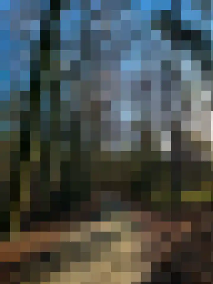 Elspeterbosweg 106 Vierhouten thumbnail 60