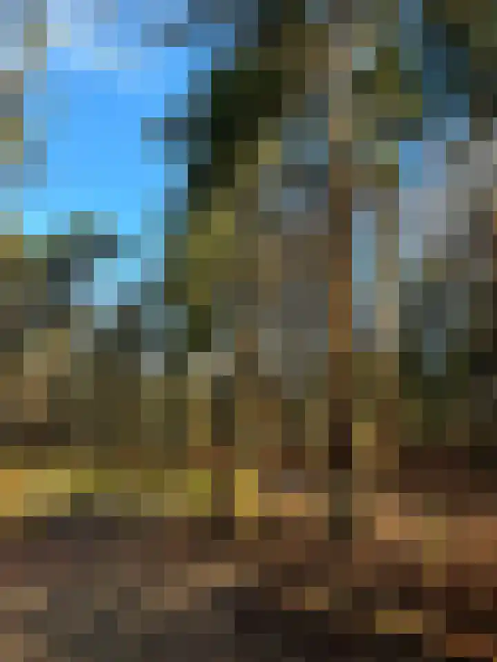 Elspeterbosweg 106 Vierhouten thumbnail 61