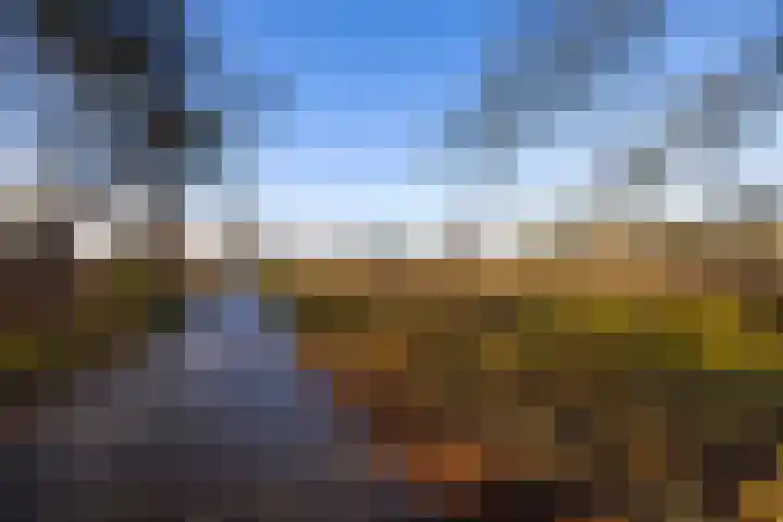 Elspeterbosweg 106 Vierhouten thumbnail 62