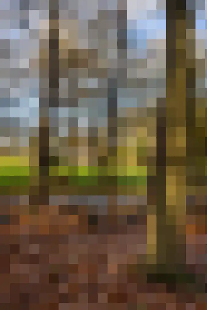 Elspeterbosweg 106 Vierhouten thumbnail 63
