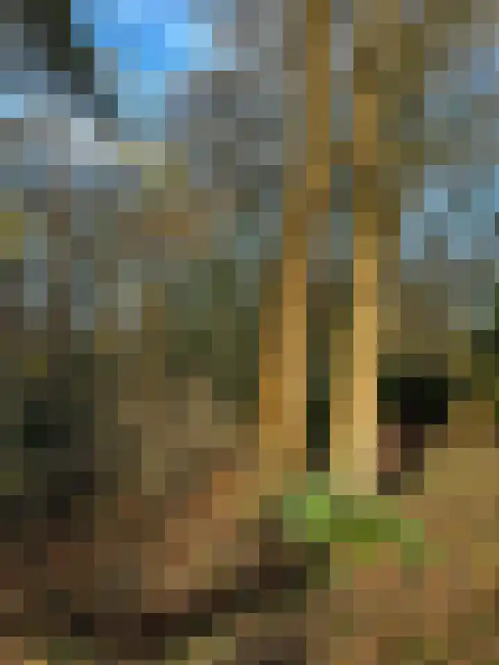 Elspeterbosweg 106 Vierhouten thumbnail 64