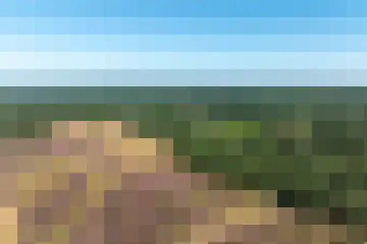 Elspeterbosweg 106 Vierhouten thumbnail 67