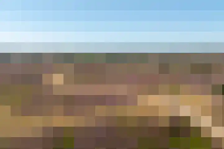 Elspeterbosweg 106 Vierhouten thumbnail 68