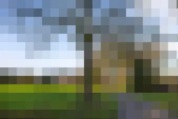 Elspeterbosweg 106 Vierhouten thumbnail 7