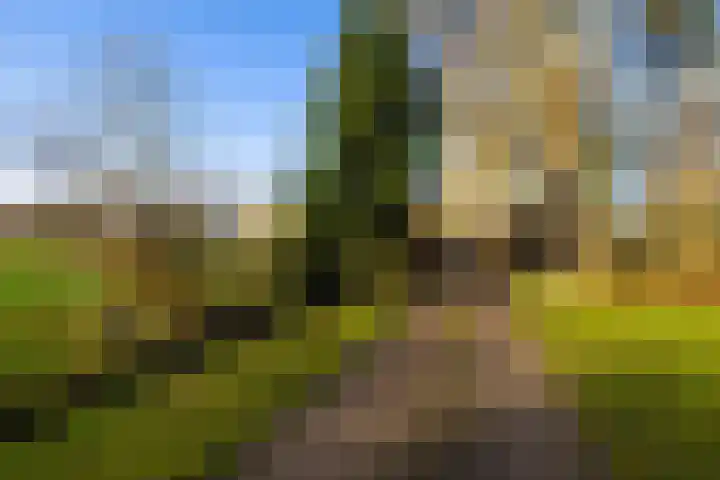 Elspeterbosweg 106 Vierhouten thumbnail 8