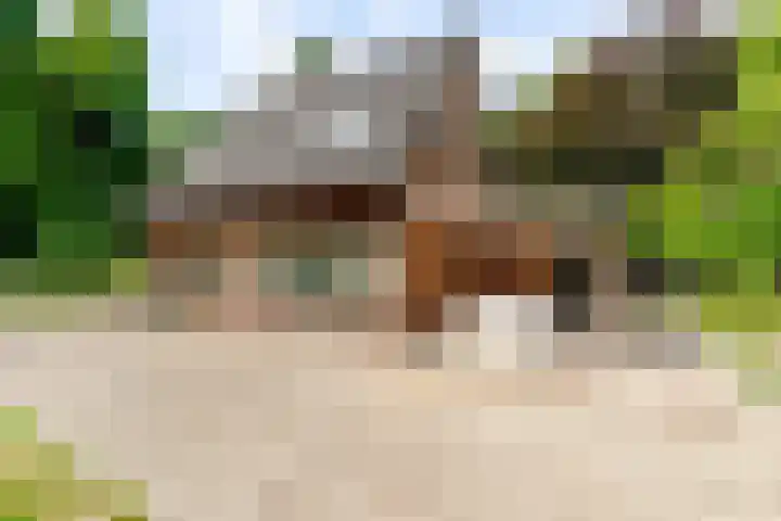 Elspeterbosweg 125 Vierhouten thumbnail 10