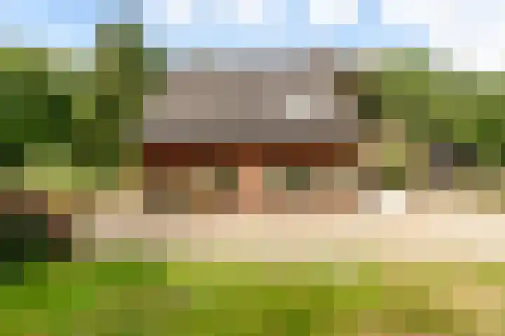 Elspeterbosweg 125 Vierhouten thumbnail 11