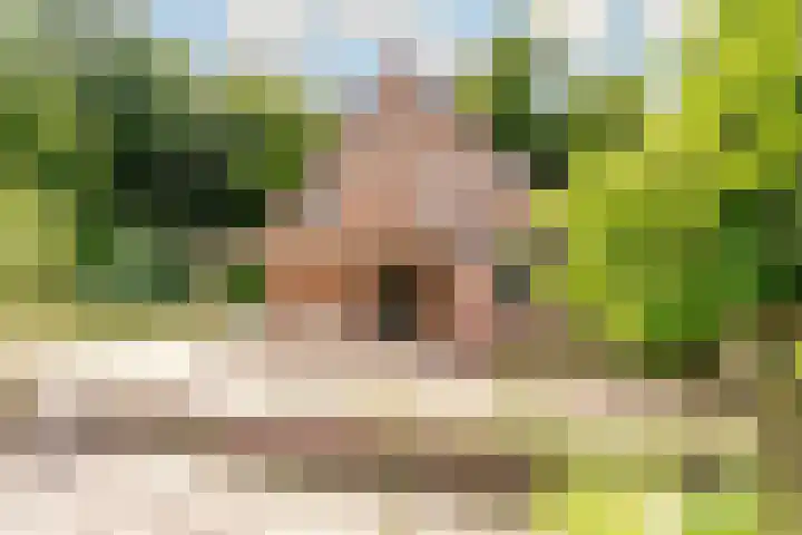 Elspeterbosweg 125 Vierhouten thumbnail 12