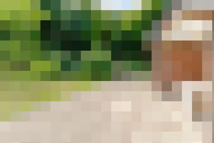 Elspeterbosweg 125 Vierhouten thumbnail 13