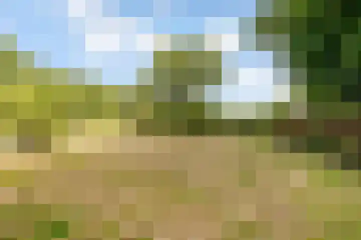 Elspeterbosweg 125 Vierhouten thumbnail 14