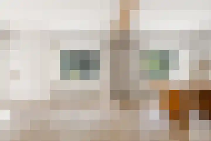 Elspeterbosweg 125 Vierhouten thumbnail 18