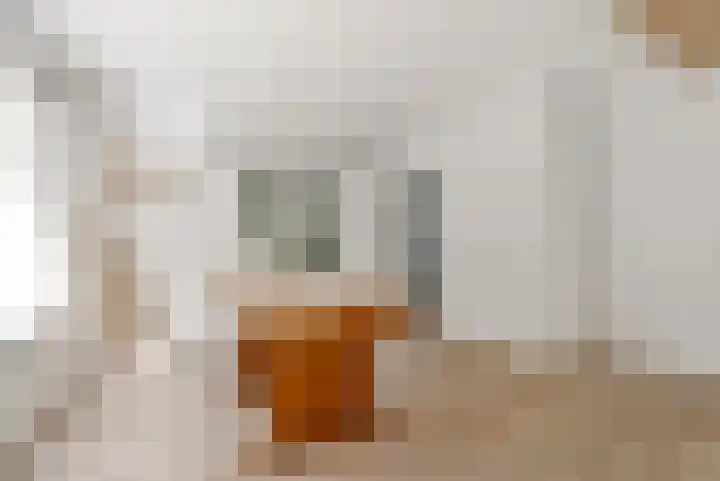 Elspeterbosweg 125 Vierhouten thumbnail 23