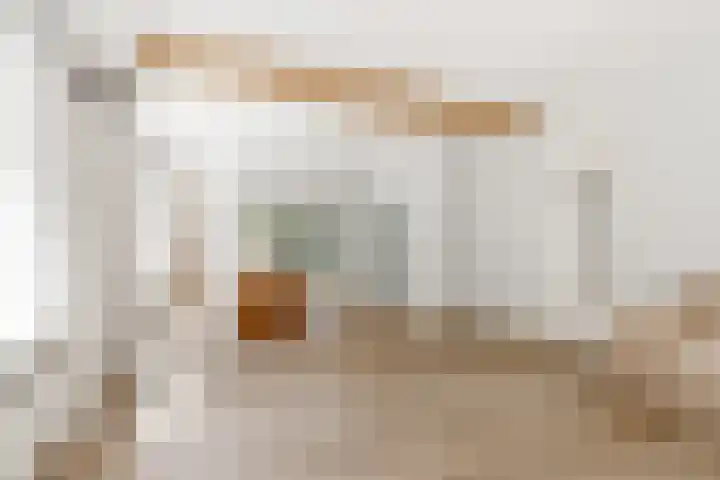 Elspeterbosweg 125 Vierhouten thumbnail 25