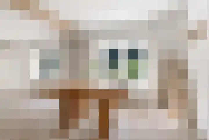 Elspeterbosweg 125 Vierhouten thumbnail 26