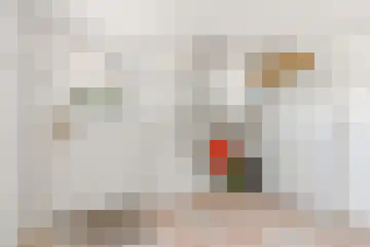 Elspeterbosweg 125 Vierhouten thumbnail 29