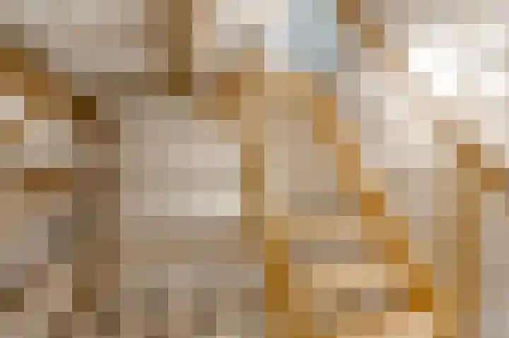 Elspeterbosweg 125 Vierhouten thumbnail 30
