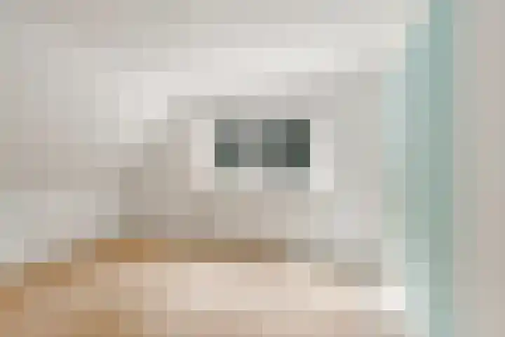 Elspeterbosweg 125 Vierhouten thumbnail 33