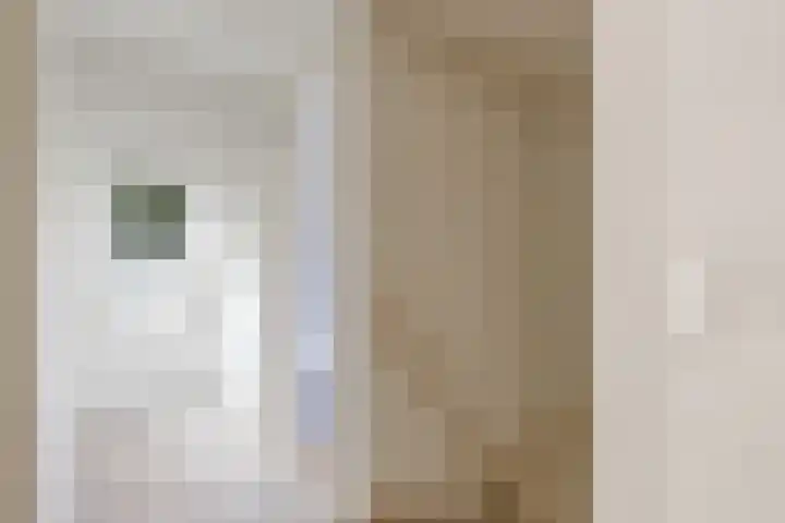 Elspeterbosweg 125 Vierhouten thumbnail 36