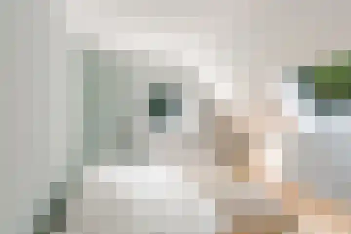 Elspeterbosweg 125 Vierhouten thumbnail 37