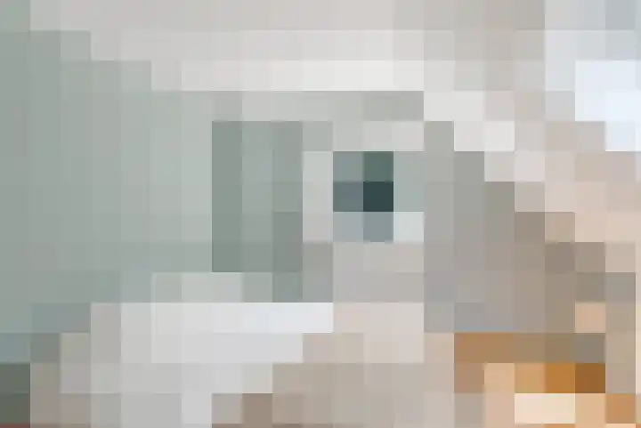 Elspeterbosweg 125 Vierhouten thumbnail 38