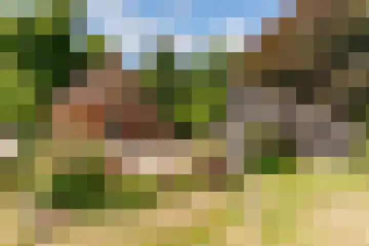 Elspeterbosweg 125 Vierhouten thumbnail 4